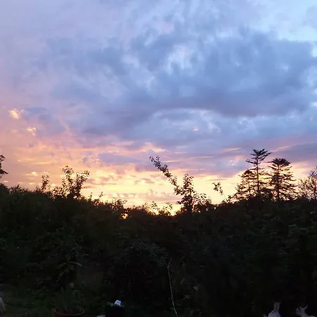 Semesterbostad Drombrow Bantry